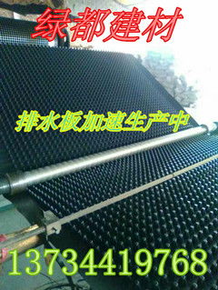 海南绿都建材排水板厂家直销规格齐全13734419768高清图片 高清大图